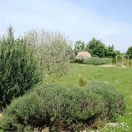 Le Grand Paradis Morannes sur Sarthe-Daumeray Eksteriør bilde